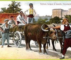 ac9922 - TURKEY - VINTAGE POSTCARD  - Constantinople - Ethnic