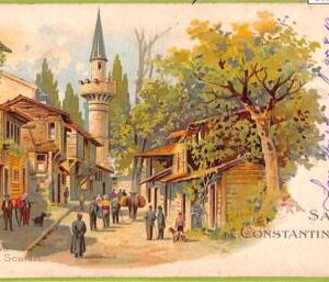 ac9937 - TURKEY - VINTAGE POSTCARD  - Constantinople - 1919