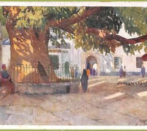 ac9946 - TURKEY - VINTAGE POSTCARD  - Constantinople