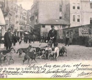 ac9950 - TURKEY - VINTAGE POSTCARD  - Constantinople