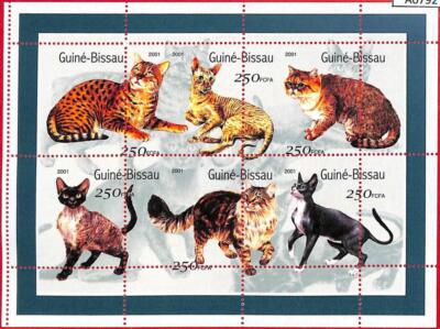 A0792 -  GUINEA-BISSAU - ERROR   MISSPERF SHEET - Animals Pets CATS 2001