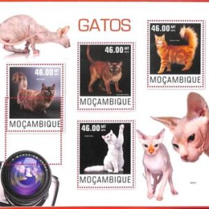 A4297 - MOZAMBIQUE - ERROR MISPERF, Miniature s: 2014 Cats, Maine Coon, Sphynx