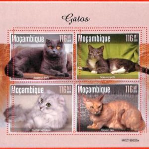 A4290 - MOZAMBIQUE - ERROR MISPERF, Miniature sheet: 2019, Cats, Devon Rex