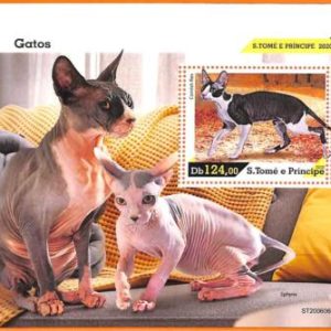 A6584 - SAO TOME & PRINCIPE, ERROR, 2020, MISSPERF SOUVENIR SHEET: Cats, Sphynx