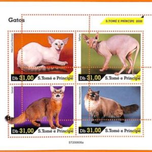 A6585 - SAO TOME & PRINCIPE, ERROR, 2020, MISSPERF MINIATURE SHEET: Cats, Sphynx