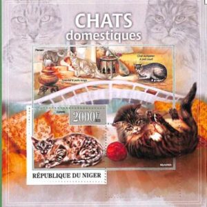 A2305 - NIGER - ERROR, MISPERF Souvenir sheet: 2013, Cats, Musica
