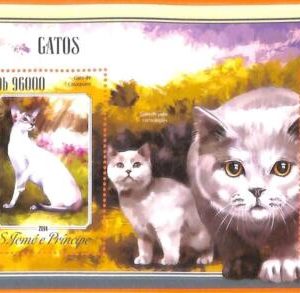 A6583 - SAO TOME & PRINCIPE, ERROR, 2014, MISSPERF SOUVENIR SHEET: Cats