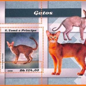 A6578 - SAO TOME & PRINCIPE, ERROR, 2018, MISSPERF SOUVENIR SHEET: Cats