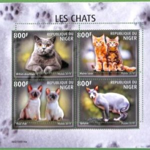 A2426 - NIGER - ERROR: MISPERF - 2019 Cats, British shorthair, Thai, Sphynx