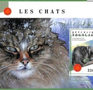 A3649-Togo ERROR MISSPERF 2018 ANIMALS  ЖИВОТНЫЕ Cats Кошки