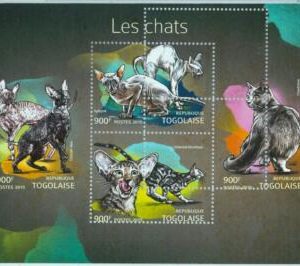 A3668-Togo ERROR MISSPERF 2015 ANIMALS  ЖИВОТНЫЕ Cats Кошки