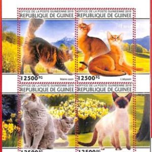 A1970 - GUINEA, ERROR: MISSPERF, MINIATURE SHEET - 2019 Cats, Siamese, Main Coon