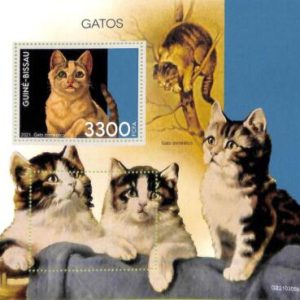 A7767 - Guinea-Bissau -  ERROR MISPERF Stamp Sheet -2021 Animals CATS