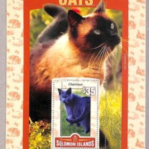 A4900 - SOLOMON ISLANDS -ERROR MISPERF Souvenir s: 2016 Cats, Siamese, Chartreux