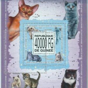A0584- GUINEA, ERROR, MISPERF Souvenir s: 2013 Cats, Persian, Birman, Abyssinian