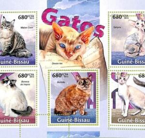 A7768 - Guinea-Bissau -  ERROR MISPERF Stamp Sheet -2013 Animals CATS