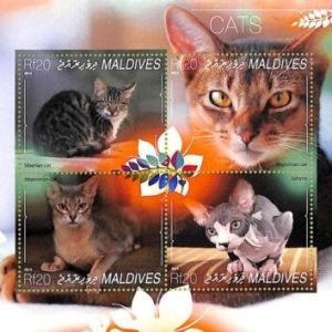 A8107- MALDIVES -  Stamp Sheet -2014 Animals CATS