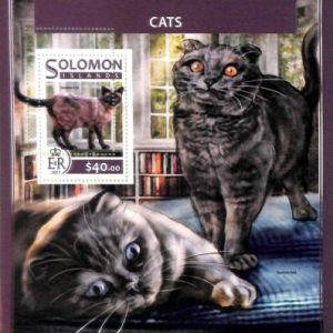 A8528 - SOLOMON - ERROR MISPERF Stamp Sheet - 2017 CATS  ANIMALS