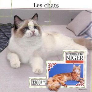 A8444 - NIGER - ERROR MISPERF Stamp Sheet - 2021 Animals CATS
