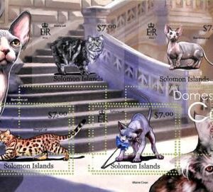 A8527 - SOLOMON - ERROR MISPERF Stamp Sheet - 2012 CATS  ANIMALS