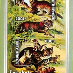 A7944 - REP.GUINEE - ERROR MISPERF Stamp Sheet - 2021  ANIMALS Cats