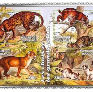 A8843 - TOGO  -ERROR MISPERF  Stamp Sheet - 2021 CATS DOMESTIC, CATS OF PREY