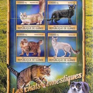 A7927 - REP.GUINEE -ERROR MISPERF  Stamp Sheet - 2016 ANIMALS  Domestic cats
