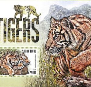 A8463 - SIERRA LEONE -ERROR MISPERF Stamp Sheet - 2015 Cats of Prey TIGERS
