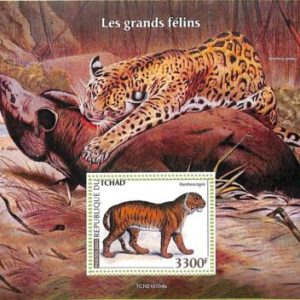 A8730 - TCHAD -  ERROR MISPERF Stamp Sheet - 2021 CATS OF PREY BIG CATS