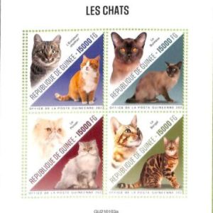 A7938 - REP.GUINEE - ERROR MISPERF Stamp Sheet - 2021  ANIMALS Cats