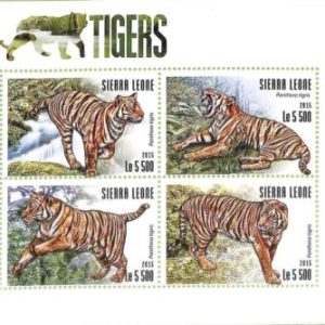 A8462 - SIERRA LEONE - Stamp Sheet - 2015 Cats of Prey TIGERS