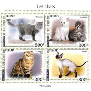 A8733 - TCHAD - ERROR MISPERF Stamp Sheet - 2021 CATS ANIMALS