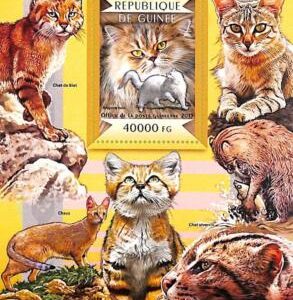 A7922 - REP.GUINEE -  Stamp Sheet - 2015 MAMMALS  Cats