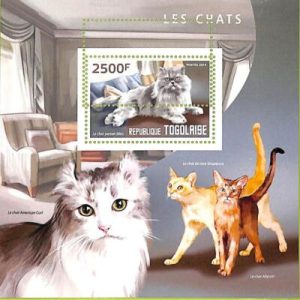 A8827 - TOGO -ERROR MISPERF  Stamp Sheet - 2014 CATS ANIMALS