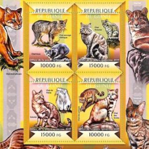 A7918 - REP.GUINEE - ERROR MISPERF Stamp Sheet - 2015 MAMMALS  Cats