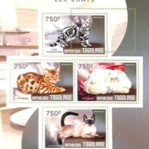 A8828 - TOGO - ERROR MISPERF  Stamp Sheet - 2014 CATS ANIMALS