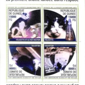 A7924 - REP.GUINEE - ERROR MISPERF Stamp Sheet - 2021 MAMMALS  Cats