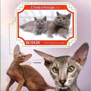 A8574- S.TOME -ERROR MISPERF  Stamp Sheet - 2021 CATS