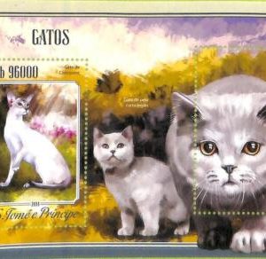 A8571- S.TOME -ERROR MISPERF  Stamp Sheet - 2014 CATS