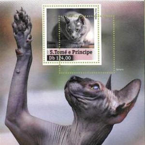 A8572- S.TOME -ERROR MISPERF  Stamp Sheet - 2021 CATS