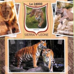 A8464 - SIERRA LEONE -ERROR MISPERF Stamp Sheet - 2016 Cats of Prey TIGERS