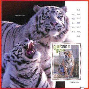 A1851 - GUINEA BISSAU, ERROR: MISSPERF, SOUVENIR S - 2019, Tigers, white tiger