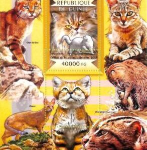 A7922a - REP.GUINEE - ERROR MISPERF Stamp Sheet - 2015 MAMMALS  Cats