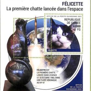 A7923 - REP.GUINEE - ERROR MISPERF Stamp Sheet - 2021 MAMMALS  Cats