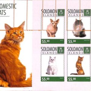 A7000 - SOLOMON ISLANDS, Error, 2014, MISPERF MINIATURE SHEET: Cats