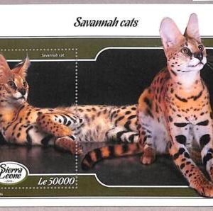 A2503 -SIERRA LEONE -ERROR: MISPERF, Souvenir sheet - 2019, Savannah Cats