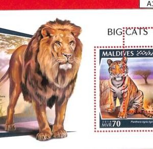A1088 MALDIVES - ERROR MISSPERF  2018 big cats TIGRIS LIONS Натура Тигры Кошки
