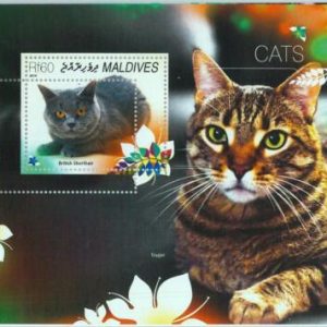 A0972 - MALDIVES, ERROR, MISPERF, Souvenir sheet: 2014, Cats, British Shorthairs