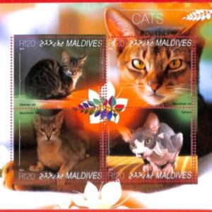 A4107 - MALDIVES - ERROR MISPERF. Miniature s: 2014 Cats, Sphynx, Siberian cats