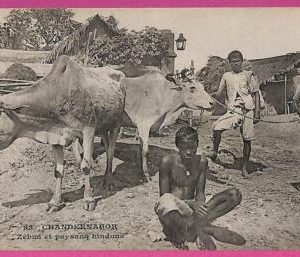 ag3808  - INDIA - VINTAGE POSTCARD - Chandernagore, ETHNIC